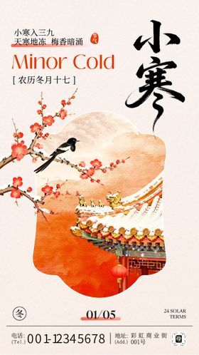 中国风二十四节气小寒节气宣传海报