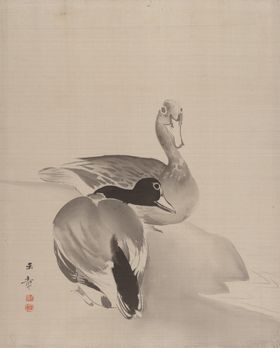 飞禽水鸭子绘画