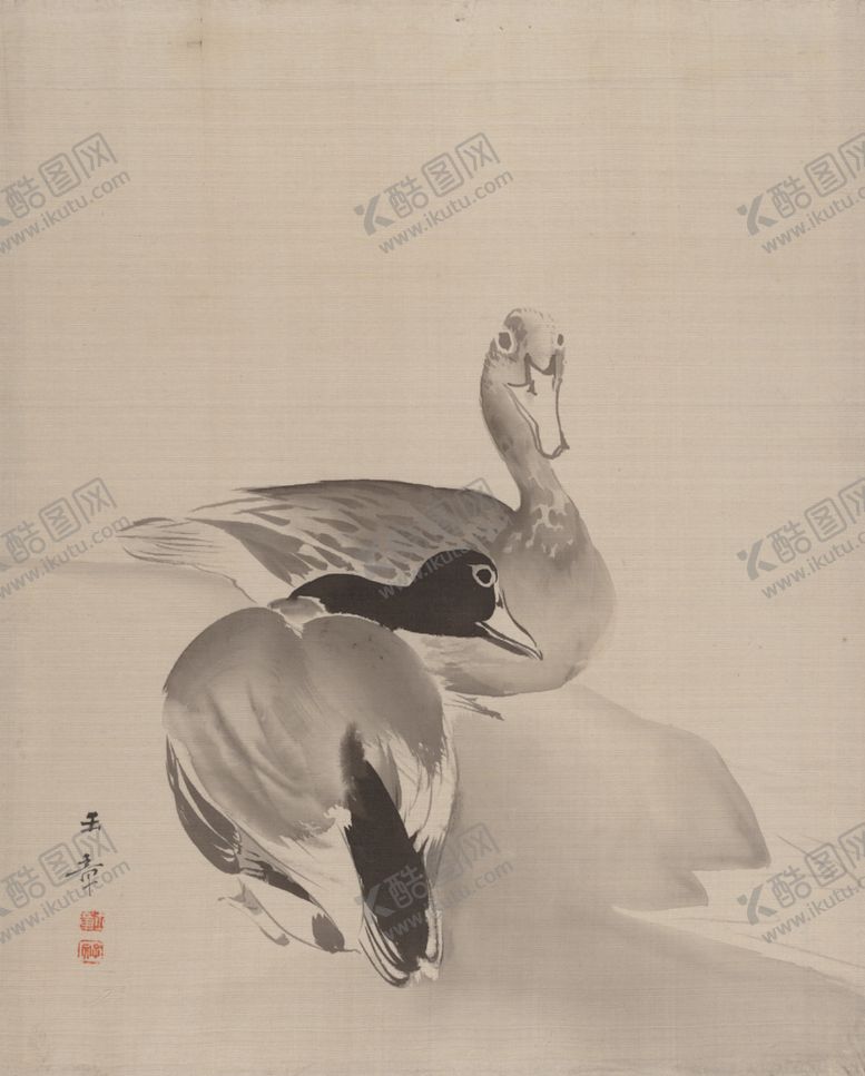 编号：10241706271523347898【酷图网】源文件下载-飞禽水鸭子绘画