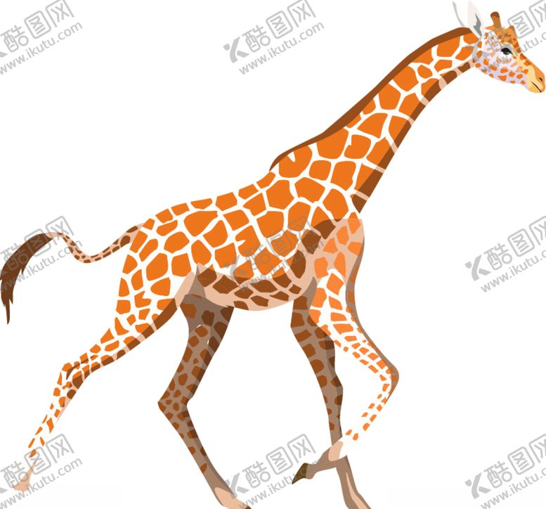 编号：25762110070624386953【酷图网】源文件下载-长颈鹿
