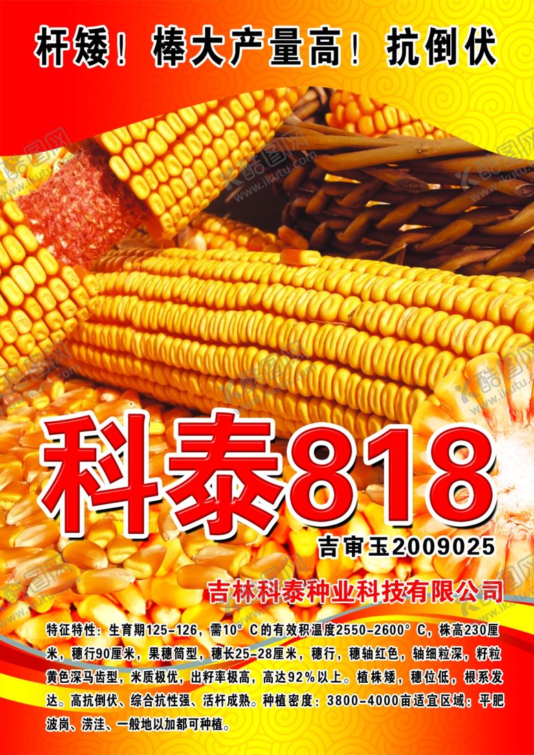 编号：17396409281332284251【酷图网】源文件下载-玉米