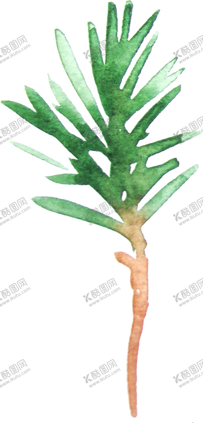 编号：36102009151646407327【酷图网】源文件下载-彩绘枝叶