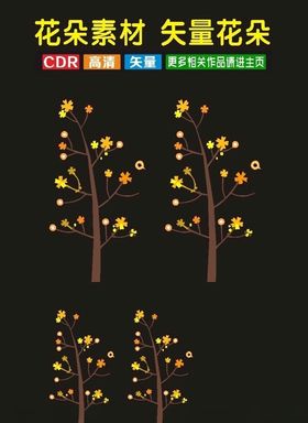 花朵盆栽