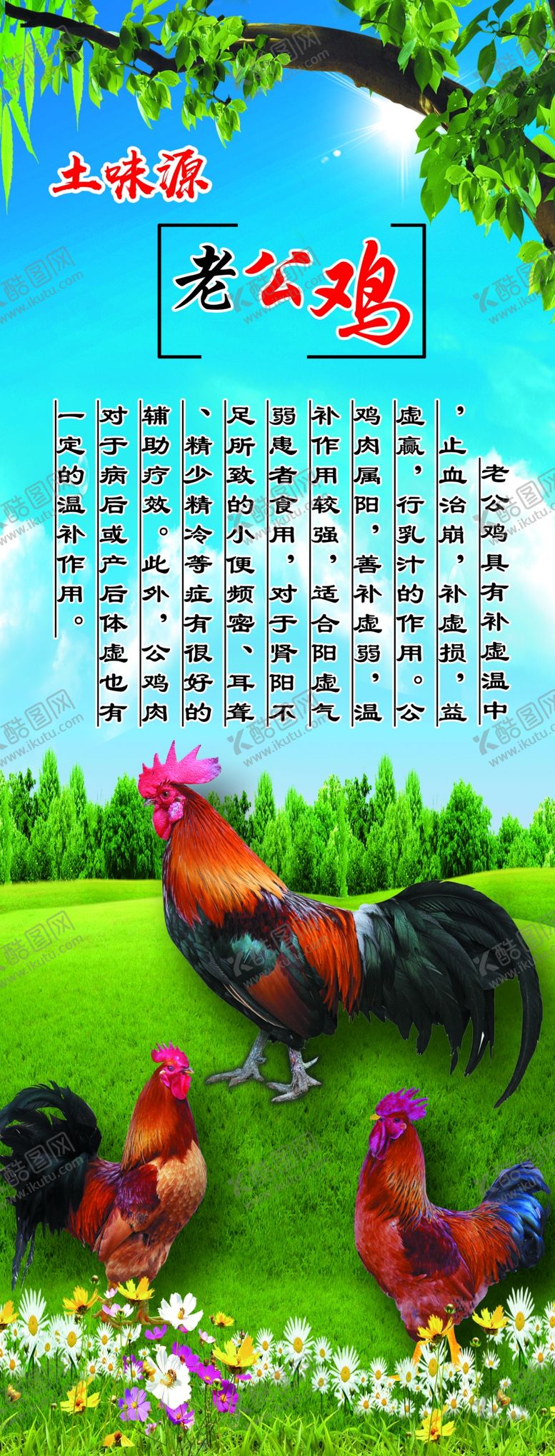 编号：43832210051254454971【酷图网】源文件下载-老公鸡