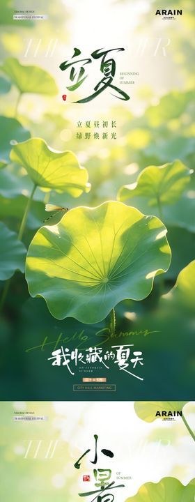 地产立夏小暑荷叶风景海报
