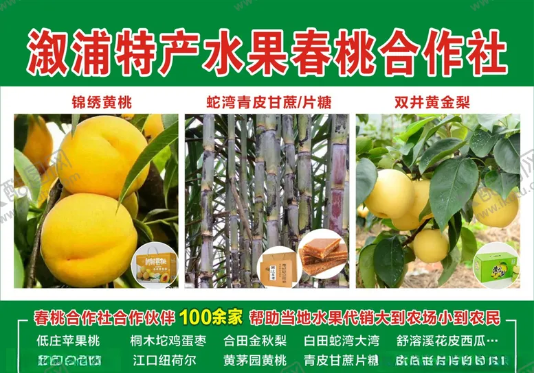编号：34620903270638247654【酷图网】源文件下载-特产水果合作社