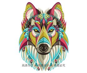 动物