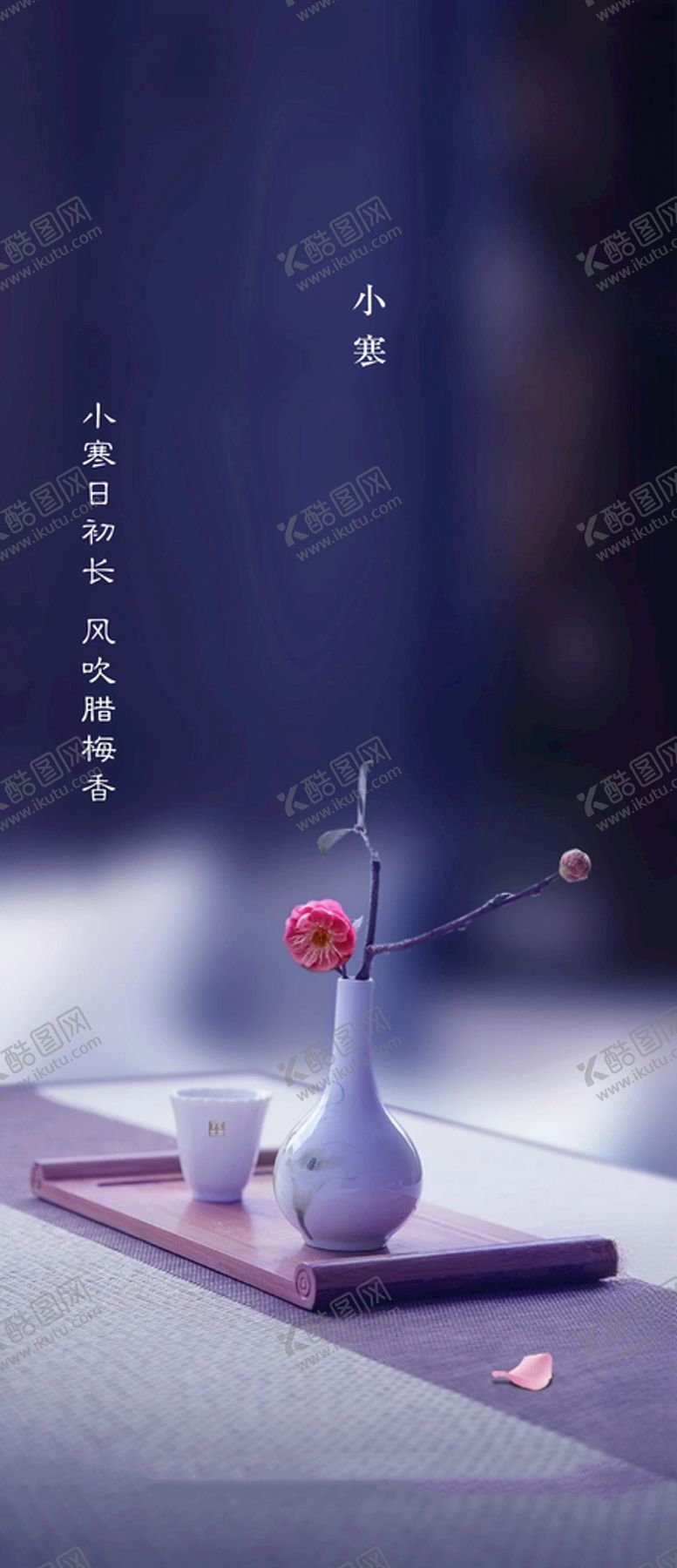 编号：15297405011120491219【酷图网】源文件下载-小寒节气海报