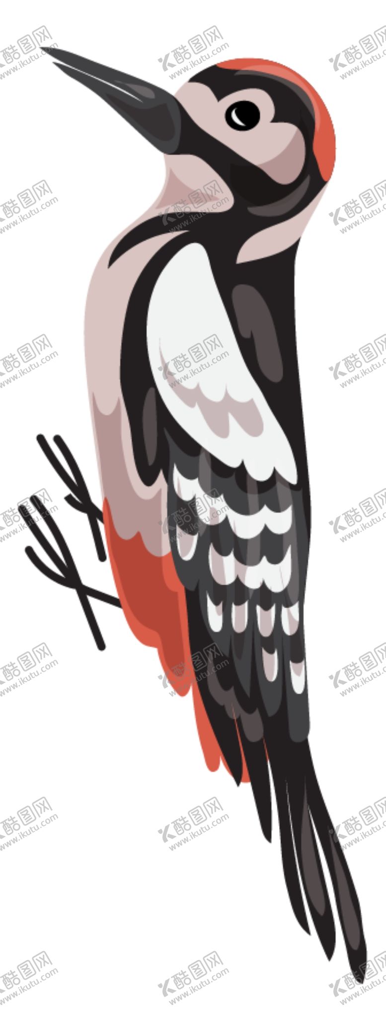 编号：33822312041459023747【酷图网】源文件下载-啄木鸟插画