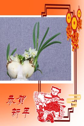 水仙花
