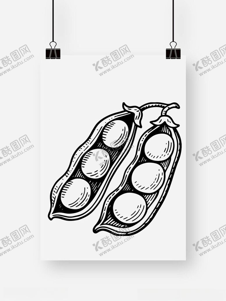 编号：89166509250718161835【酷图网】源文件下载-豆荚豌豆