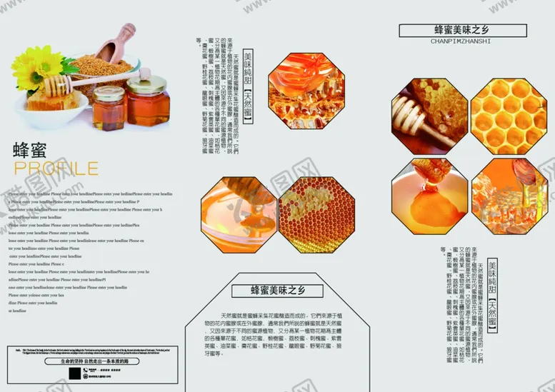 编号：15759503161533452977【酷图网】源文件下载-简约风蜂蜜宣传折页设计