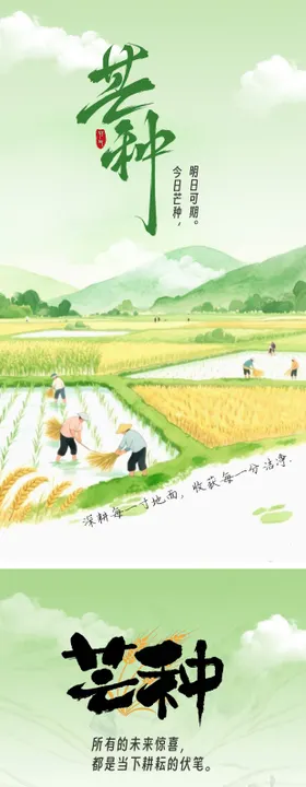 芒种节气海报