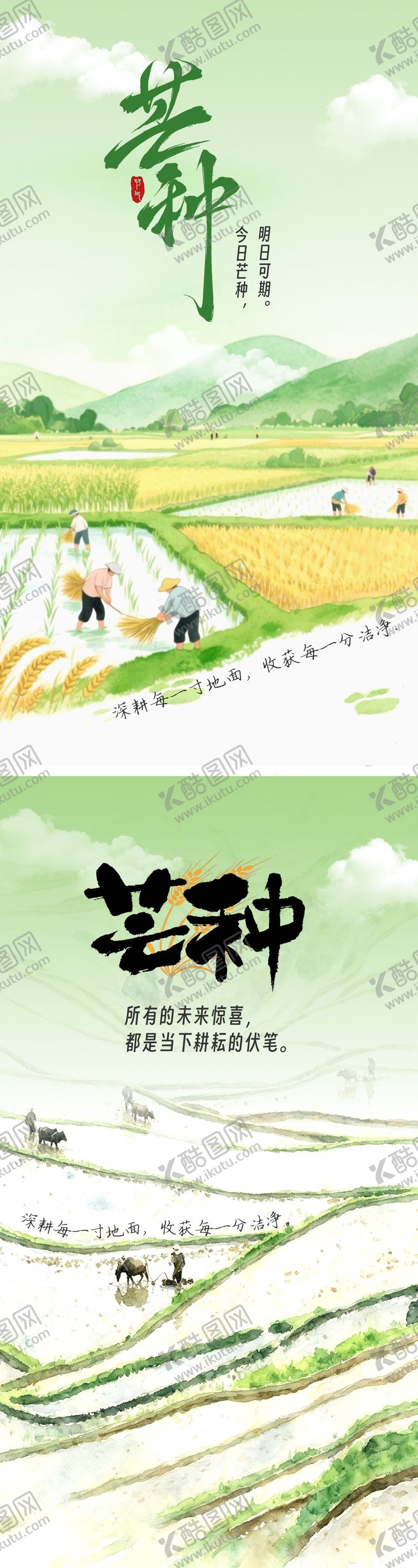 编号：27740806042333507701【酷图网】源文件下载-芒种节气海报