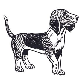 家禽动物线稿绘画图案