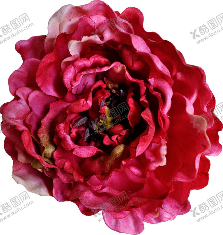 编号：96212706250702223924【酷图网】源文件下载-暗色玫瑰花花朵
