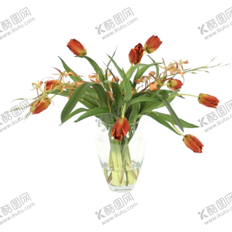 编号：43085410071716317350【酷图网】源文件下载-免抠背景花草树木