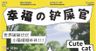 0421猫咪治愈世界