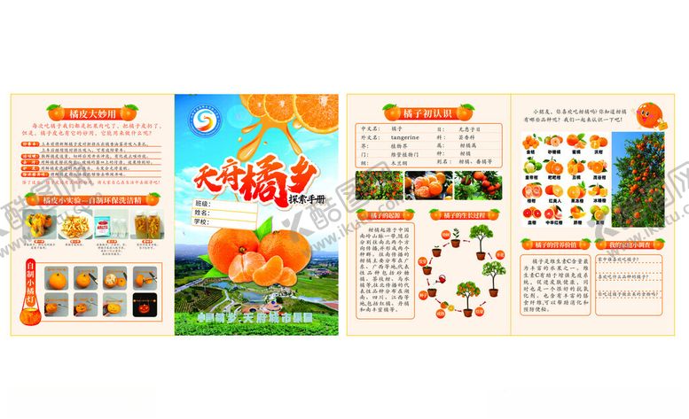 编号：81603103071243032241【酷图网】源文件下载-橘乡海报橘子传单