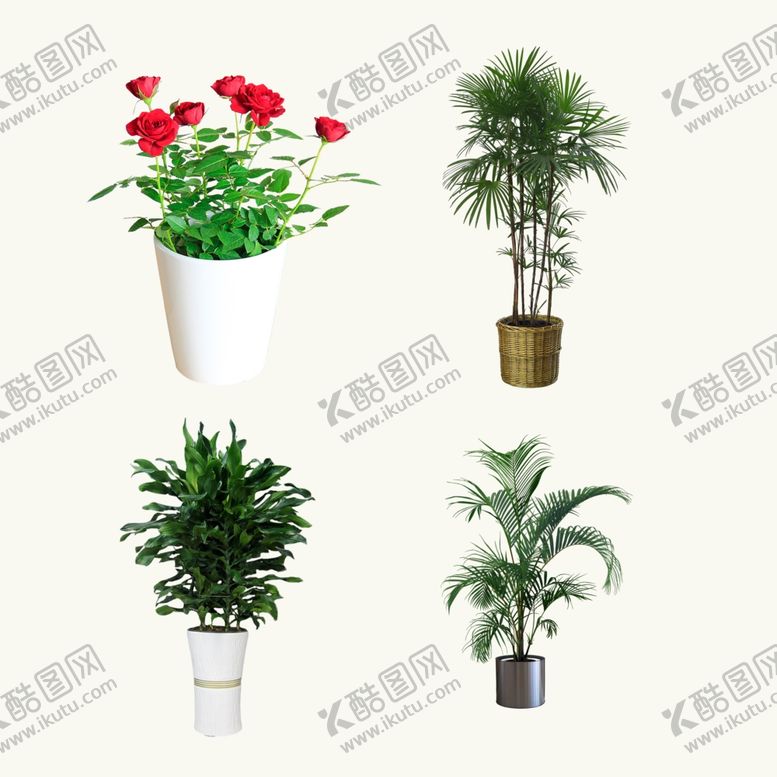 编号：92896010240952584749【酷图网】源文件下载-盆栽盆景免扣