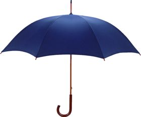 雨伞素材