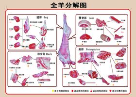 全羊分解图