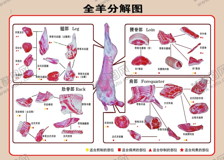 编号：09685709230950286471【酷图网】源文件下载-全羊分解图