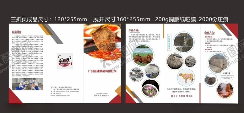 编号：63613004231836073905【酷图网】源文件下载-宣传折页