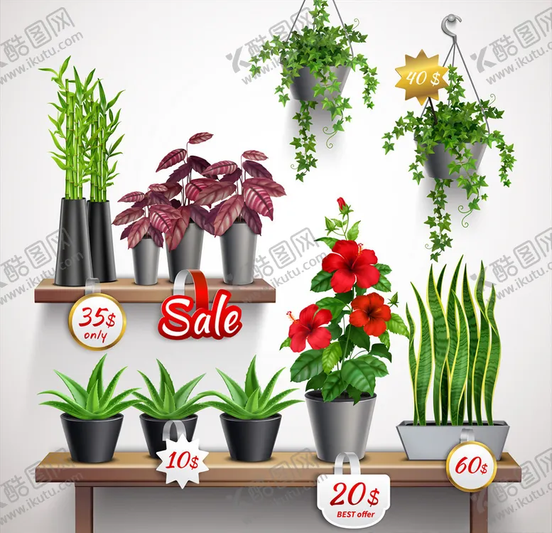 编号：27879907012101266591【酷图网】源文件下载-植物背景
