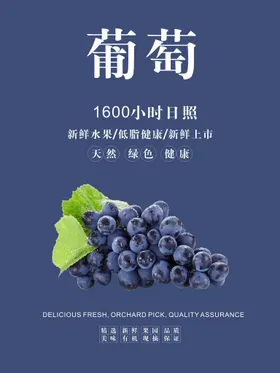 葡萄海报熟了生态吐鲁番有机