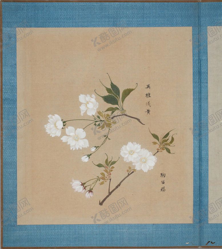 编号：63268904101902533692【酷图网】源文件下载-樱花