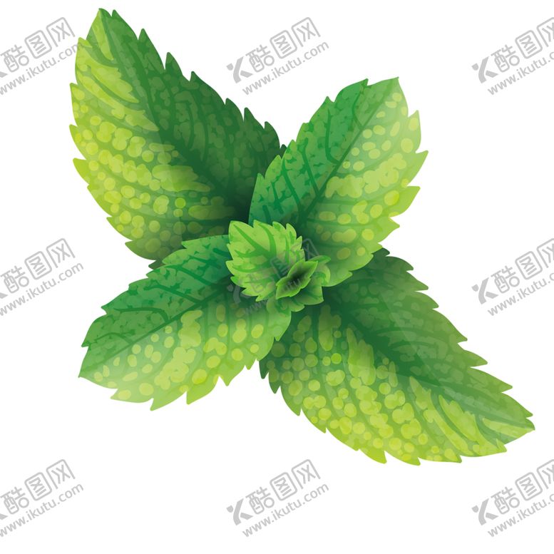 编号：43832907070053253766【酷图网】源文件下载-绿色相框