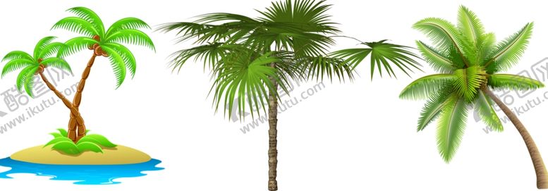 编号：21707109221636236415【酷图网】源文件下载-棕榈png免扣高清素材