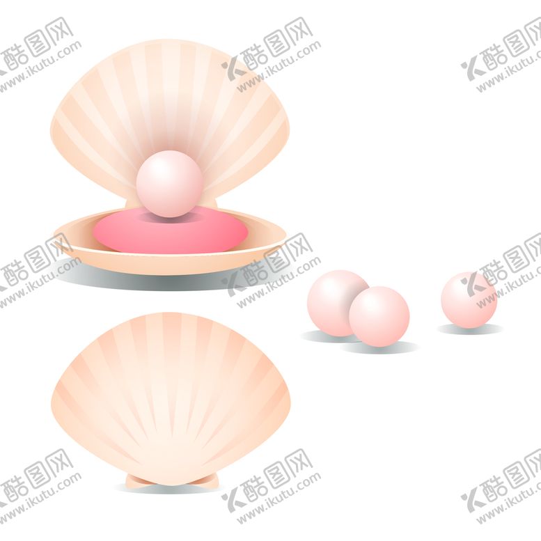 编号：14890010200102355487【酷图网】源文件下载-海洋生物贝壳插画 