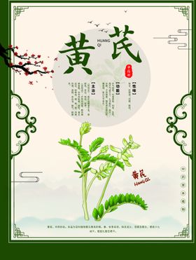 中药药膏海报