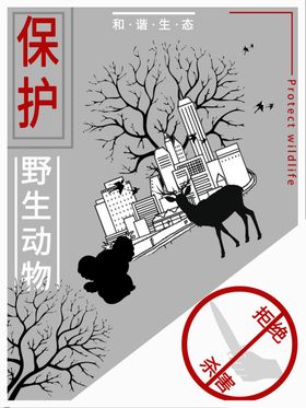 保护野生动物