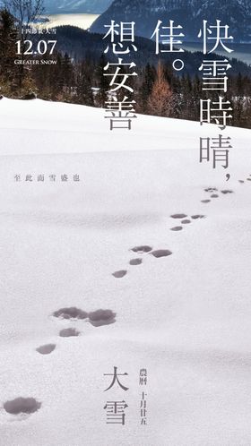 大雪海报