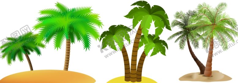 编号：79681509230504563452【酷图网】源文件下载-棕榈png免扣高清素材