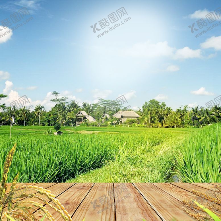 编号：22261210082350288859【酷图网】源文件下载-电商主图