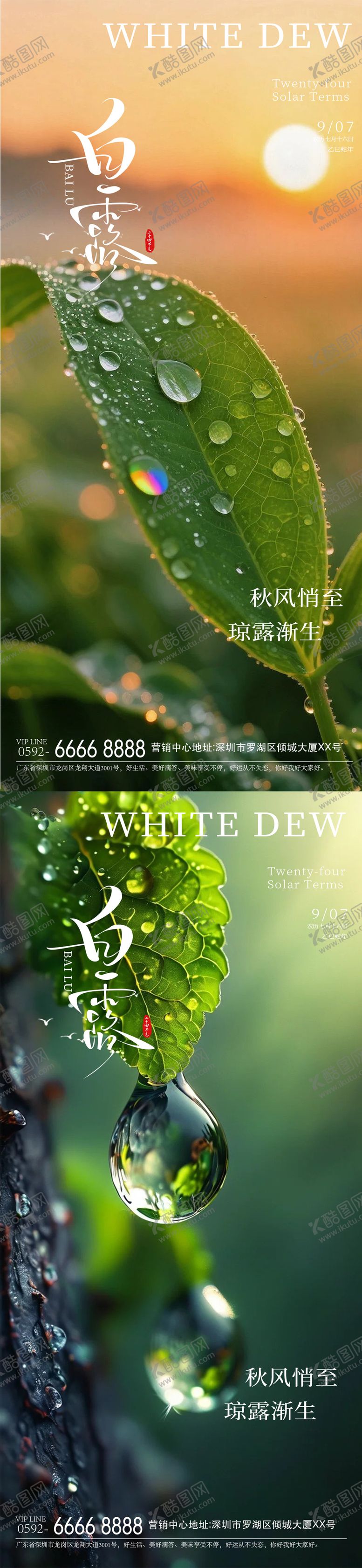 编号：50058809051640201725【酷图网】源文件下载-白露海报
