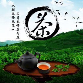 房地产海报 茶 树