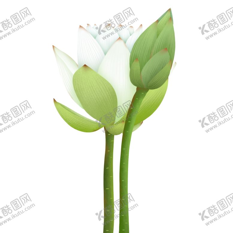 编号：31862506282158108991【酷图网】源文件下载-花朵绿叶插画清新海报素材