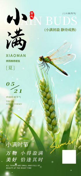 小满时节飞鸟伴麦穗