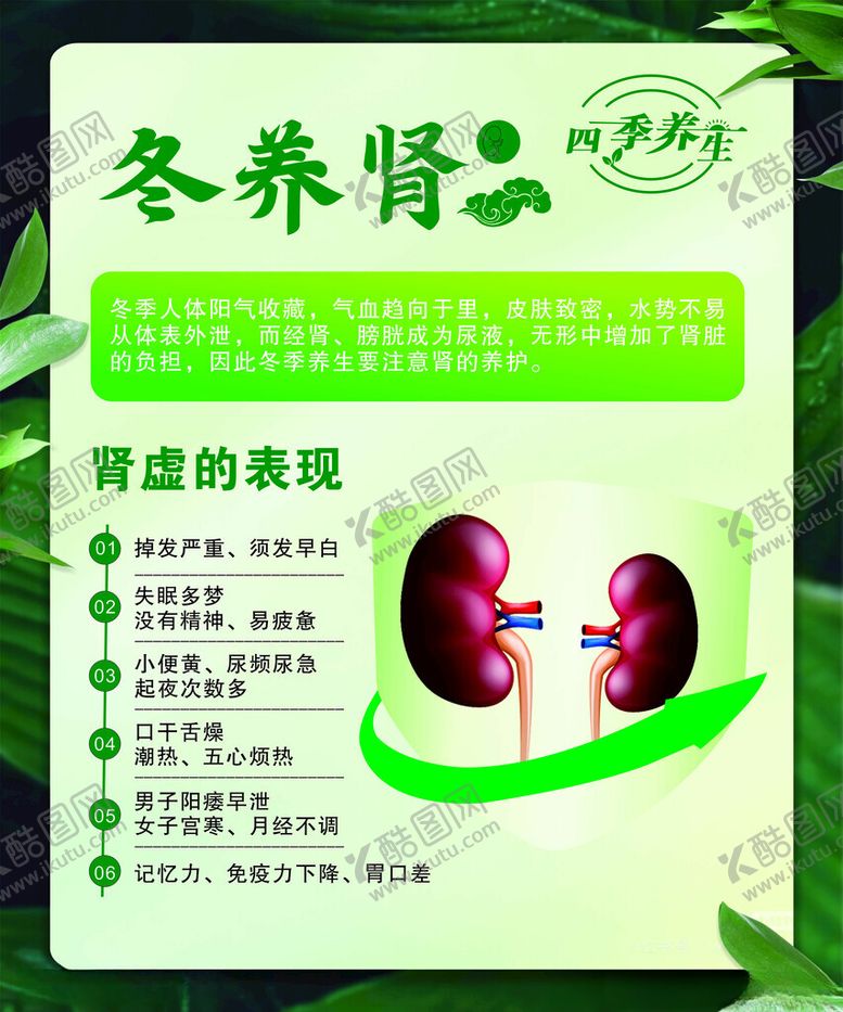 编号：83355701301058563412【酷图网】源文件下载-冬养肾
