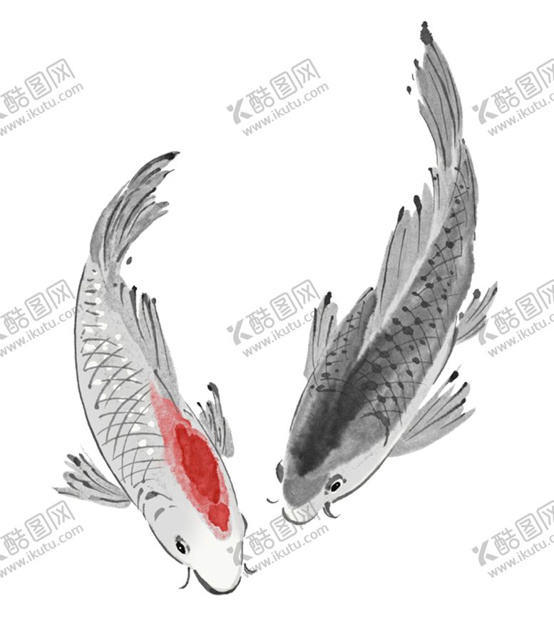 编号：95544606290644353192【酷图网】源文件下载-水墨墨迹鲤鱼