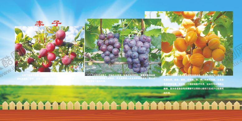 编号：48906709260412464927【酷图网】源文件下载-采摘果园