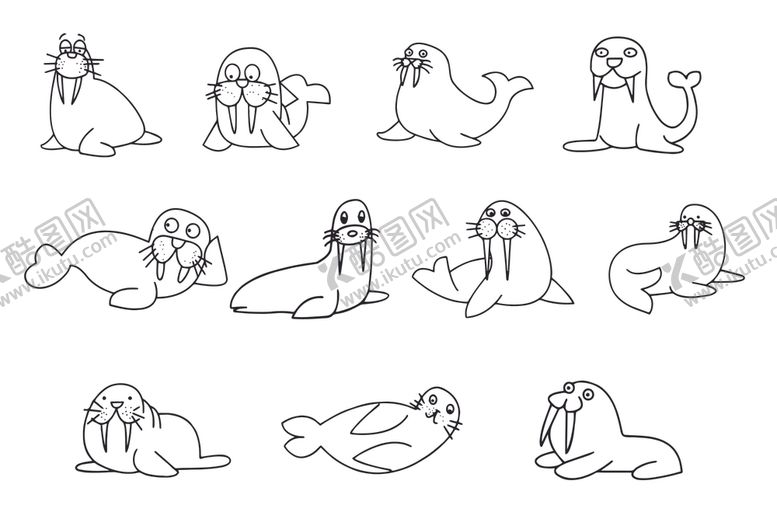 编号：66664009121520001568【酷图网】源文件下载-海象卡通