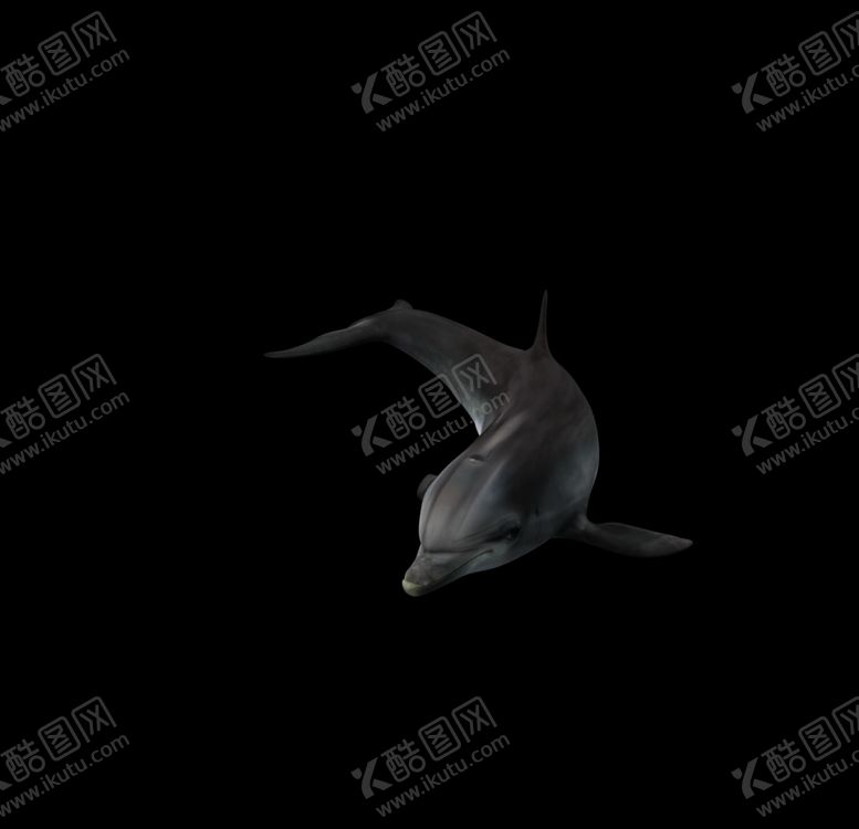 编号：93394610241514328396【酷图网】源文件下载-海洋生物