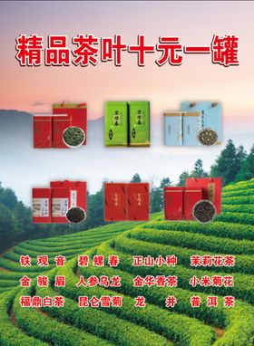 精品茶叶海报茶茶罐