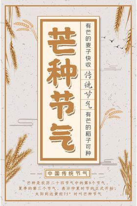 芒种海报